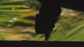 Vertical video. Silhouette of woman drinking coffee over the window, slow motion. Palm leaves swaying outside, soft focus