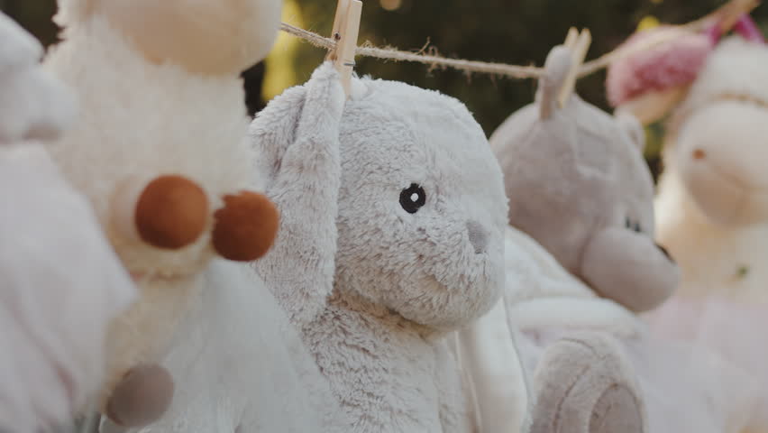 Plush toys are drying on a rope in the backyard. Children's toys are waiting for their kids to play with them and enjoy summer days outside Royalty-Free Stock Footage #1107185783
