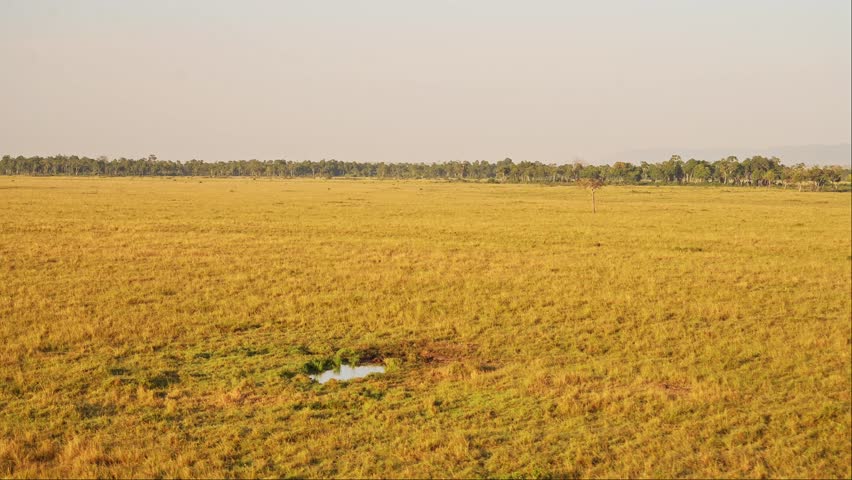 African safari adventure tourism in Maasai Mara National Reserve in hot air balloon ride, Kenya, Africa landscape in Masai Mara North Conservancy