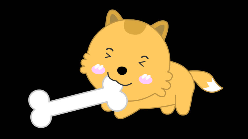 dog cute cartoon 2d animation mov file