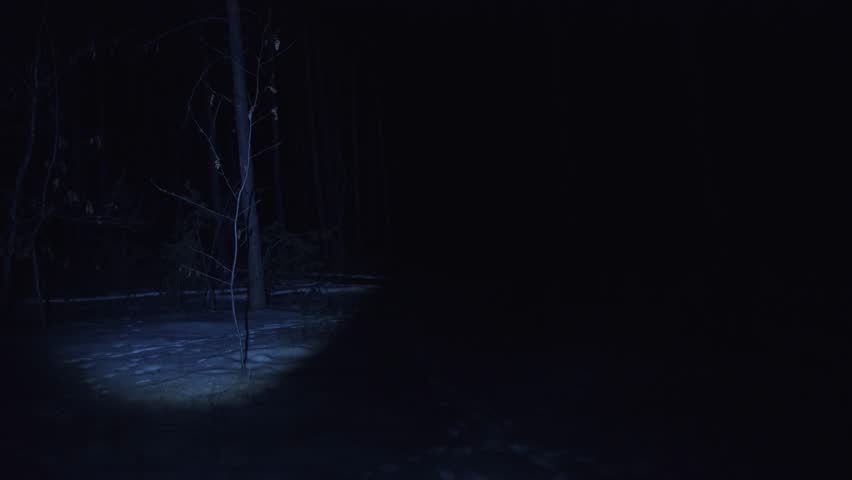 Light from Flashlight in the Night Forest, Lighting of the Night Forest. The concept of Being Lost, Trying to Get Out of the Forest, Finding a Path, Getting Lost. Night Winter Forest Royalty-Free Stock Footage #1107208263