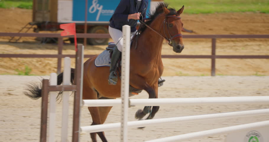 Competitive woman rider on horse jumping over obstacles, slow motion, equestrian competition outdoors. Training jumping hurdle