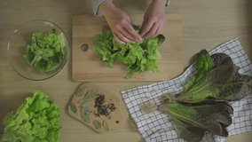 Slicing romaine lettuce green leaves on the home kitchen. Preparing vegetarian salad. Concept of Healthy food, keto diet, vegetarianism, veganism, top view, vertical video