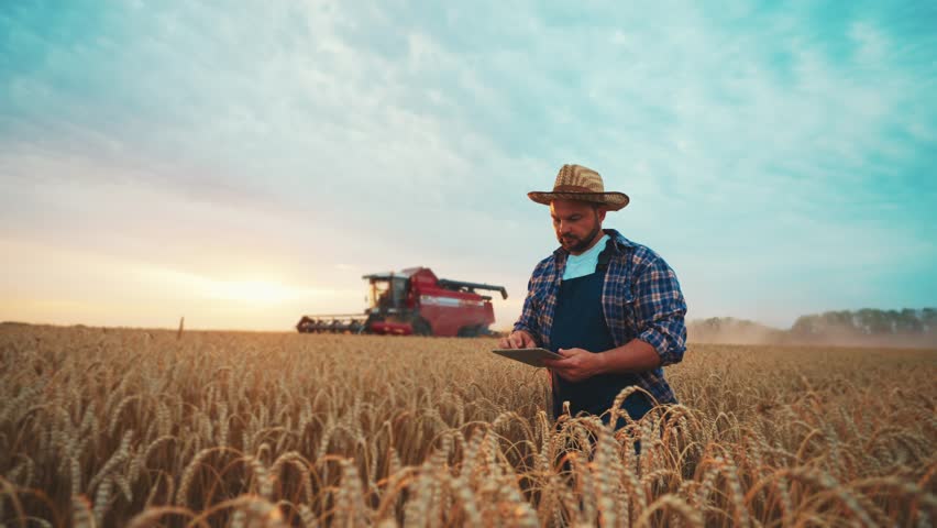 Farmer agronomist man manager in straw hat with tablet works walks on field controls combine harvester harvesting ripe wheat. Food production, farm, farmland, farming industry, agribusiness concept. Royalty-Free Stock Footage #1107218279