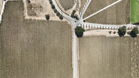 Grape Vineyard Fields Harvest Season Drone Video, Urla Izmir, Turkey