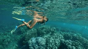 Underwater of a woman snorkeling above a coral reef. Girl in snorkeling mask dive underwater with tropical fishes in coral reef sea pool. Travel lifestyle, water sport outdoor adventure, swimming - Powered by Shutterstock - Get 15% off with code: PIKWIZARD15