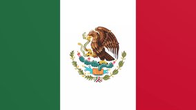 Whether for presentations, events, or creative projects, this video adds a touch of fiesta and symbolism, enhancing your content with the dynamic presence of Mexico's flag in motion. 