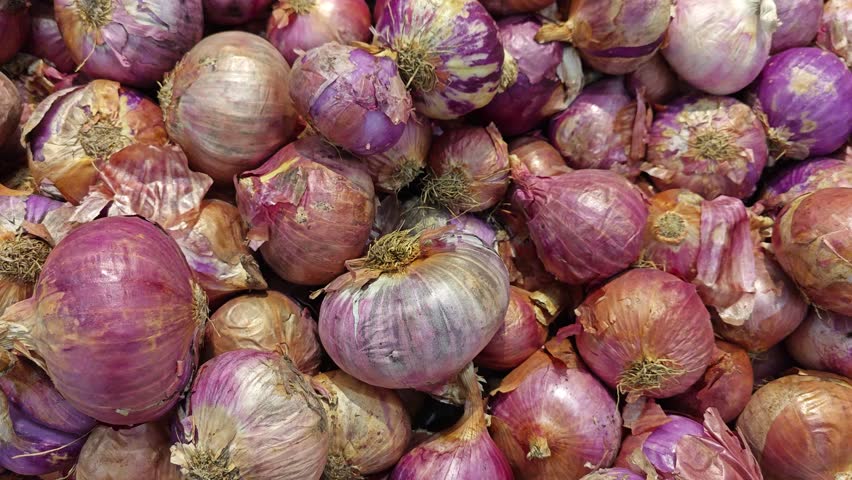Bundle of big onions on the shelves for sale