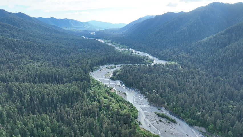 On the Olympic Peninsula, the Hoh river flows through one of the largest temperate rainforests in the U.S. Receiving over 100 inches of rain annually, this mountainous area is lush with biodiversity.