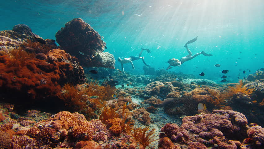 Couple freediving. Young fit freedivers man and woman swim underwater over the healthy coral reef near the island of Nusa Penida in Bali, Indonesia