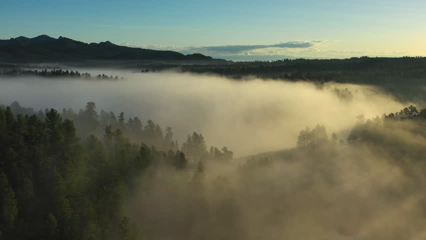 Fog settles over a lake nestled into the Black Hills of South Dakota