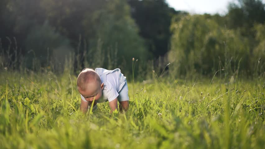 First steps. Toddler child learn to walk in summer in park on green grass. First steps of happy baby in nature. child on picnic vacation takes first steps in park at sunset. Concept of happy family Royalty-Free Stock Footage #1107285259