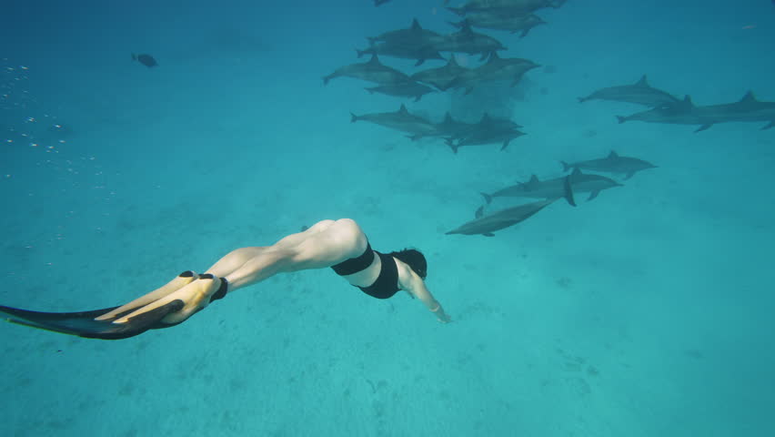 Beautiful young woman swimming underwater with dolphins in pristine blue ocean water, amazing snorkeling adventure. Armature freediver girl diving in red sea with bottlenose dolphins. Travel concept
