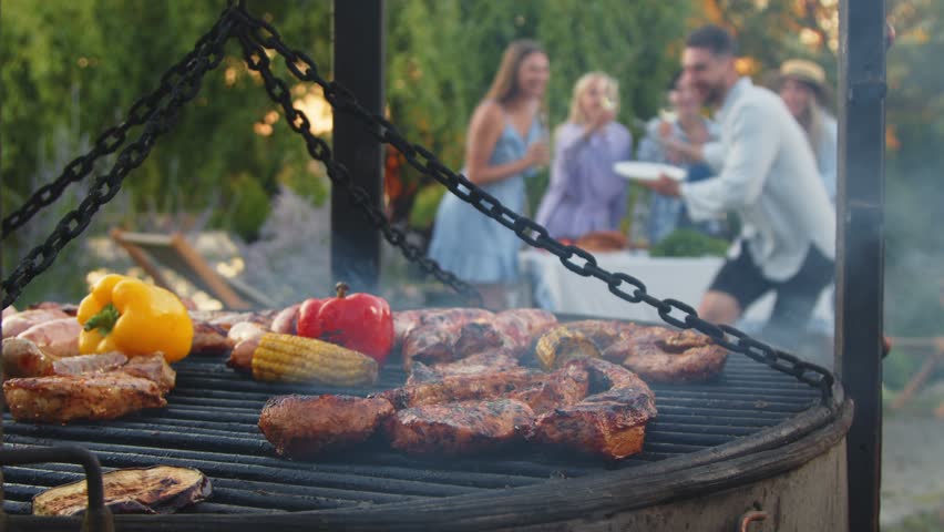 A group of multiethnic diverse people having fun, socializing with each other and having a BBQ at an outdoor dinner. Family and friends gathered outside their house on a warm summer day.
 Royalty-Free Stock Footage #1107289813