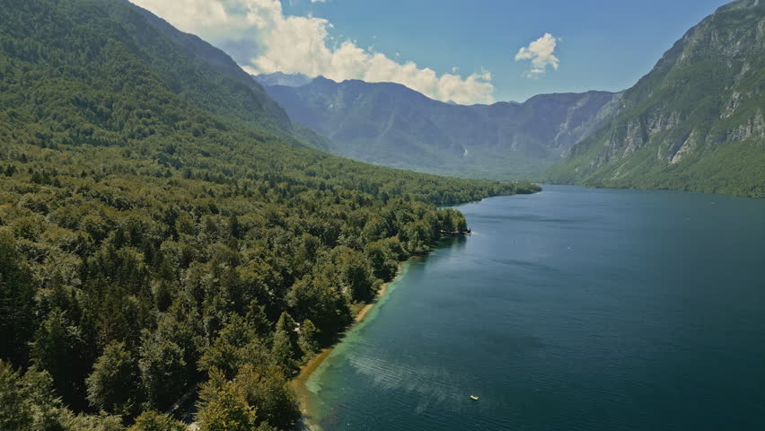 Aerial dolly along conifer trees on edge shoreline of Lake Bohinj Slovenia