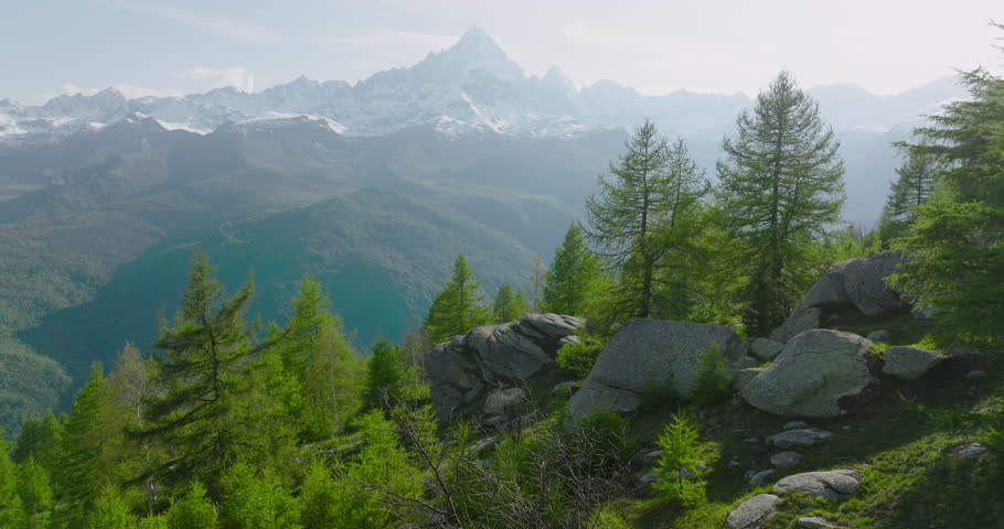 Aerial view of mature hiking couple taking a break to admire high mountain view from copse of larch trees, they pause on boulder to admire view in Piedmont Royalty-Free Stock Footage #1107306975