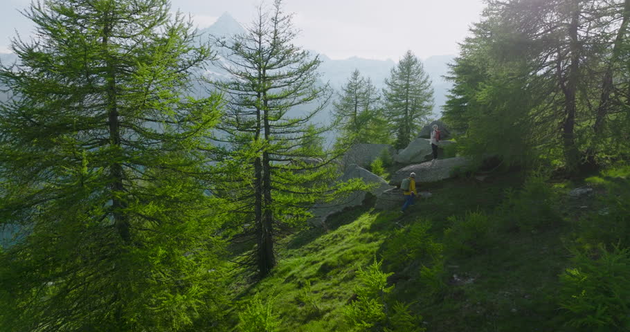 Aerial view of mature hiking couple taking a break to admire high mountain view from copse of larch trees, they pause on boulder to admire view in Piedmont Royalty-Free Stock Footage #1107306985