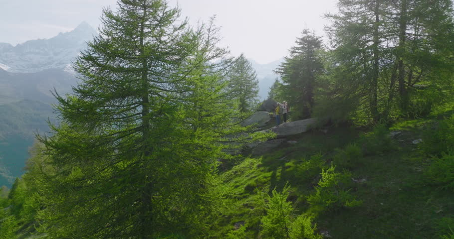 Aerial view of mature hiking couple taking a break to admire high mountain view from copse of larch trees, they pause on boulder to admire view in Piedmont Royalty-Free Stock Footage #1107306987