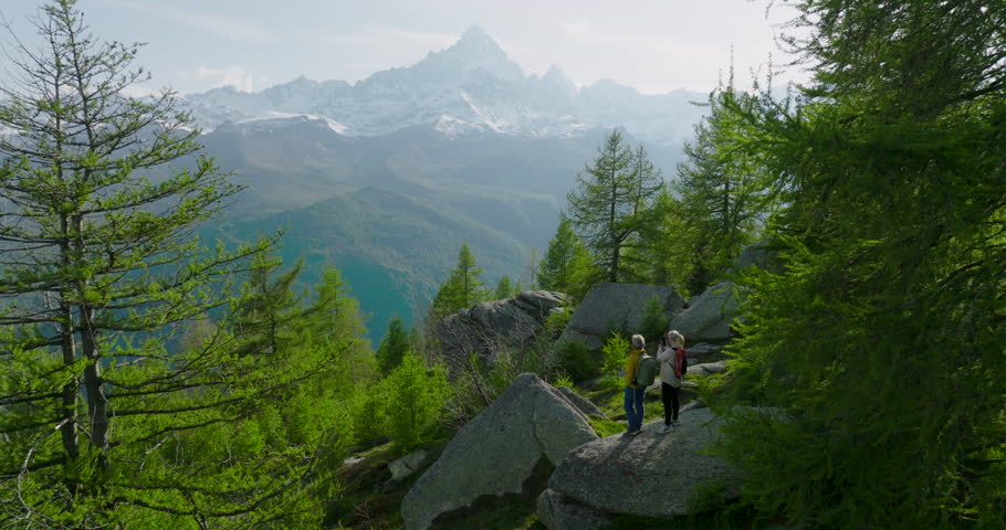Aerial view of mature hiking couple taking a break to admire high mountain view from copse of larch trees, they pause on boulder to admire view in Piedmont Royalty-Free Stock Footage #1107307001