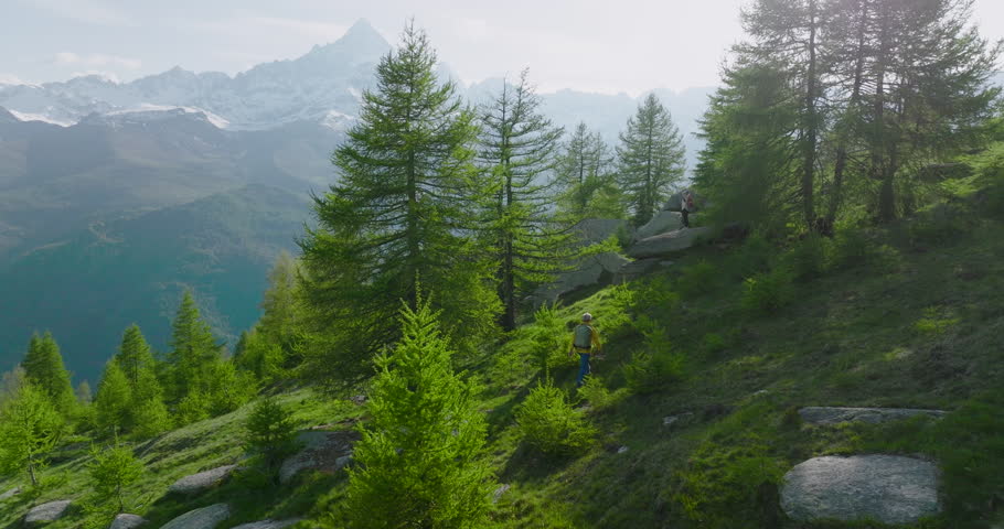 Aerial view of mature hiking couple taking a break to admire high mountain view from copse of larch trees, they pause on boulder to admire view in Piedmont Royalty-Free Stock Footage #1107307009