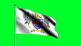 Flag of Saint Barthelemy country. 3D waving animated flag.