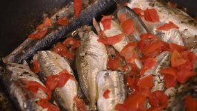 Local fish, Italian fish from the Tyrrhenian Sea. Fish dish cooked with tomato in a pan