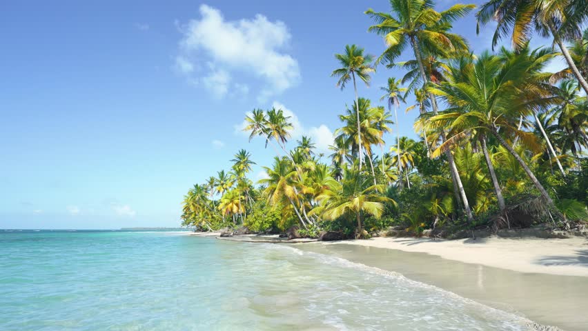 Maldives island with coconut trees on a sunny sea beach. Summer holidays in the Indian Ocean. Landscape of a tropical beach with white sand. Maldivian beach and blue sea. Travel to tropical paradise. Royalty-Free Stock Footage #1107323357