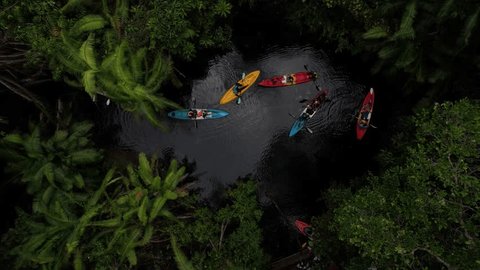 kayak in the jungle of Krabi Thailand, Group people in a kayak in a tropical jungle in Krabi mangrove forest. 库存视频