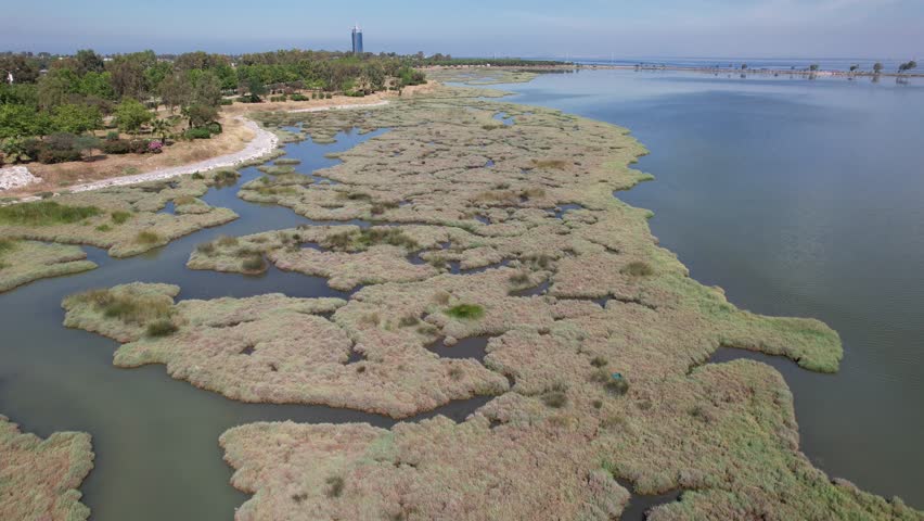 Aerial footage of lagoons and the lake with the city silhouette at the background 