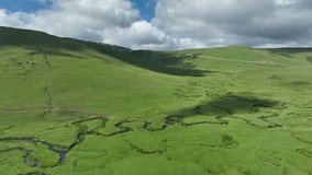 aerial view the nature with sheep in plateau steep