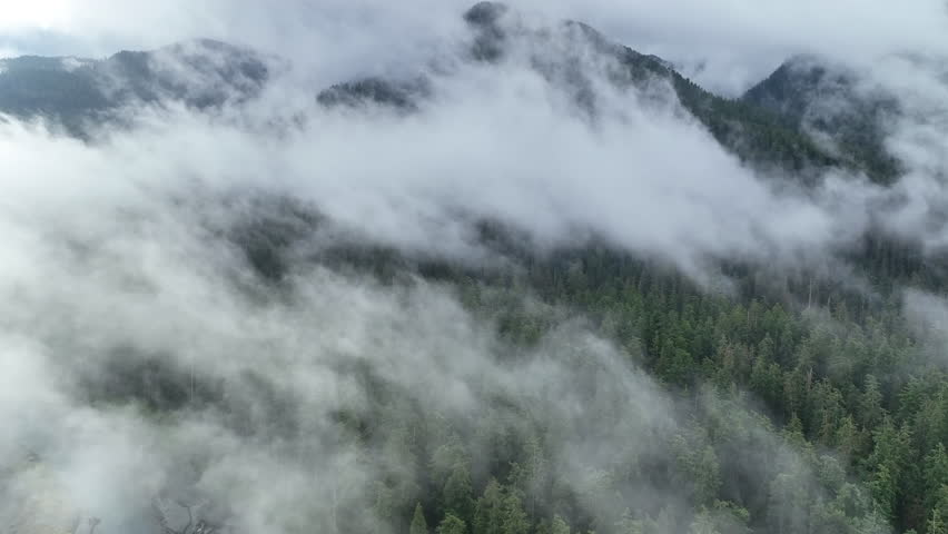 Rain clouds drift over the Olympic Mountains, where one of the largest temperate rainforests in the U.S. exists. Receiving over 100 inches of rain annually, the Olympic Peninsula is lush with flora.