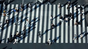 Aerial view of pedestrians walking at Shibuya Crossing. The scramble crosswalk is one of the largest in the world. Shibuya, Tokyo, Japan. - Powered by Shutterstock - Get 15% off with code: PIKWIZARD15