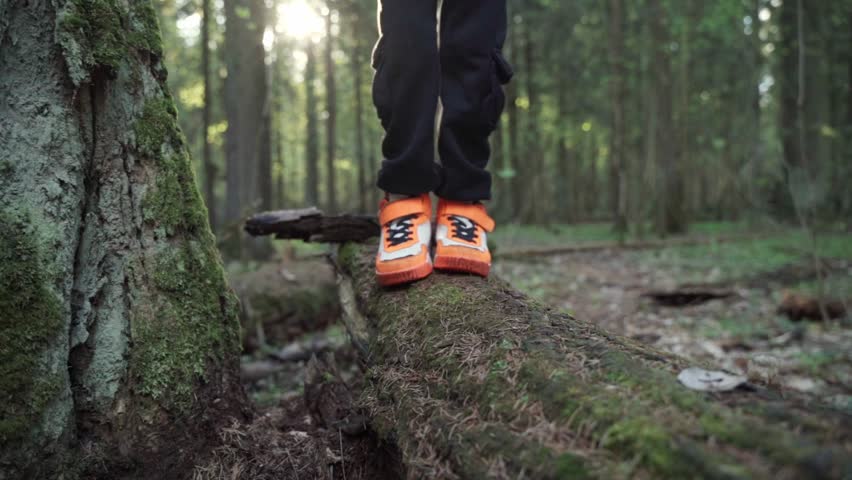 baby boy playing in the forest park. close-up child feet walking on a fallen tree log. happy family kid dream concept. a child in sneakers walks on a fallen tree in lifestyle park Royalty-Free Stock Footage #1107346461