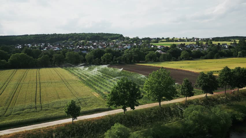 Irrigation water systems working on green agricultural field. Agriculture drip irrigation system. Modern agricultural technology