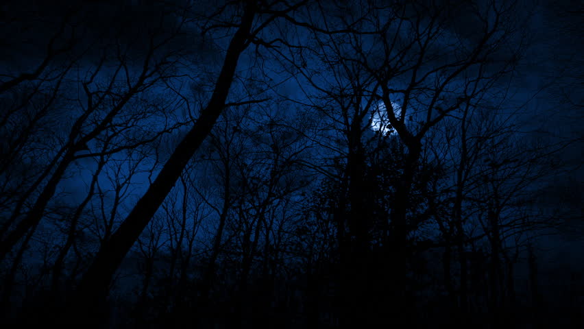 Walking In Night Woodland With Moon Above Scary Scene
 Royalty-Free Stock Footage #1107365783