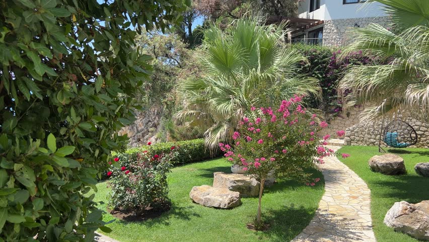 Beautiful palm garden for relax at summer.