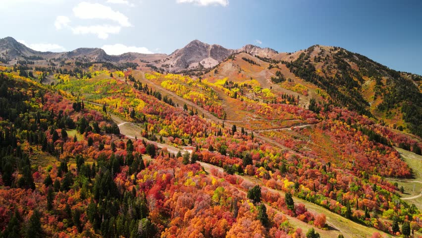 Bright autumn foliage at Snow basin in Ogden valley, Utah. | Shutterstock HD Video #1107375481