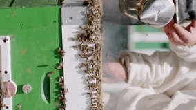 Two amateur beekeepers started to develop a bee business in their garden. Two male colleagues while calming the bees with a smoker and squeezing the combs to drain the honey.Vertical video for story