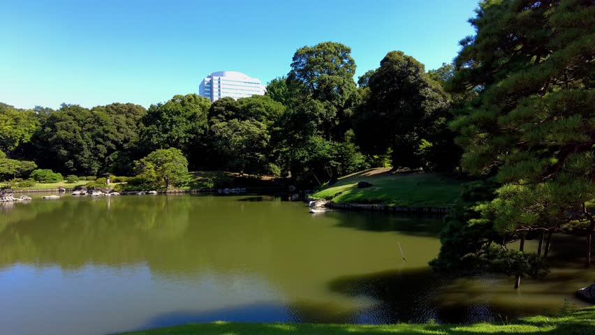 The beautiful park in Tokyo