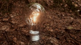 Animation showcasing flowers blooming inside a glowing bulb, set in a muddy embankment. Represents growth, beauty, and the harmonious blend of technology and natural surroundings - Powered by Shutterstock - Get 15% off with code: PIKWIZARD15