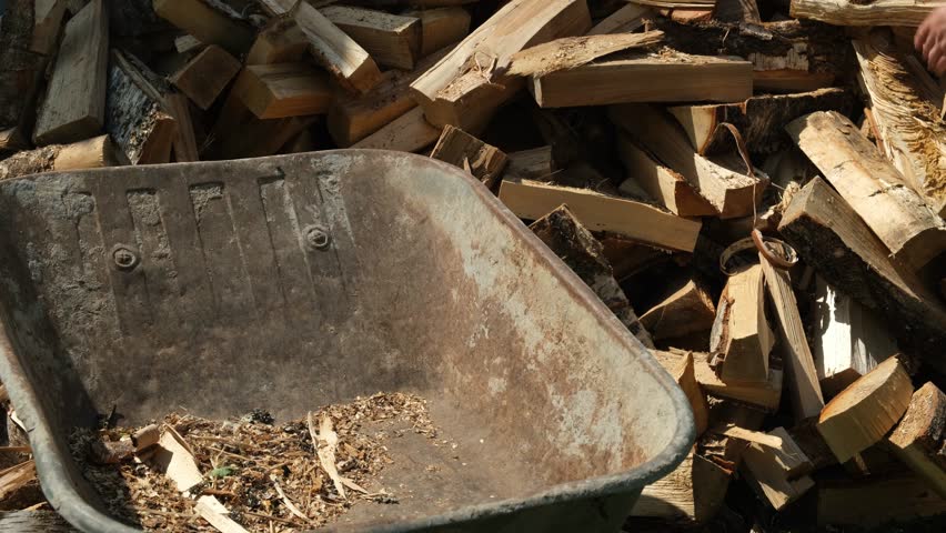 A gardener puts chopped firewood in a cart for heating the house. | Shutterstock HD Video #1107410713