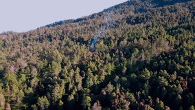 Aerial view of Verdant tropical forest on the slope of mountain with a small point of fire that emit smoke. Hotspots in the middle of forest in the summer. Mount Sumbing, Indonesia - 4K drone shot