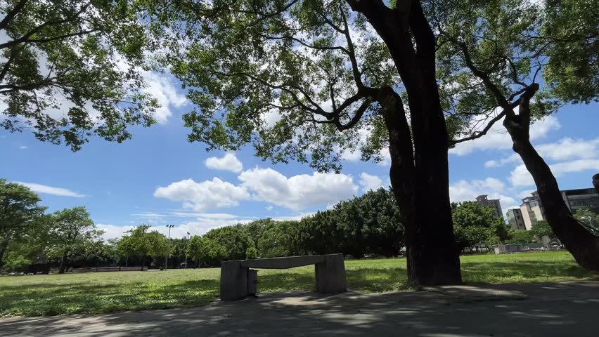 White clouds and bright sunshine at noon, the shade under the big tree can enjoy the cool.