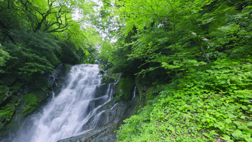 A waterfall full of negative ions in Fukuoka Prefecture (Itoshima Shiraito Falls) Royalty-Free Stock Footage #1107421123