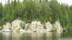 Mountain forest lake with pine trees 4k. River and forest trees with mountains. 