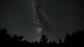 Timelapse of The Milky Way galaxy moves above the silhouettes of trees. Starry night background. Epic video 4K