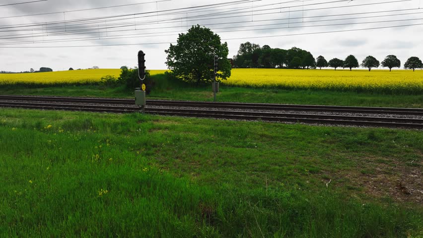 Train tram commuting car drives by on rail road in front of yellow flower field