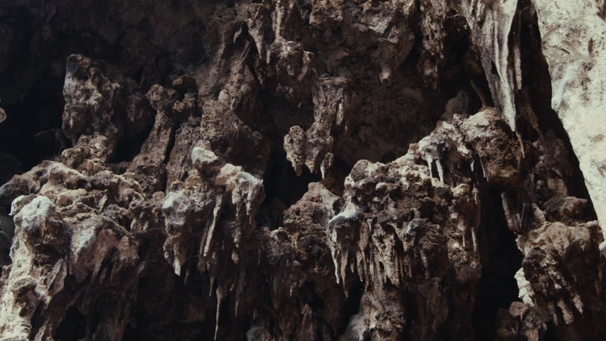 Close-up of breathtaking formations, stalactites, and stalagmites that adorn the cavern walls flooded with sunlight in Mammoth Cave, Margaret River, Australia. Concept of exploration, adventure
