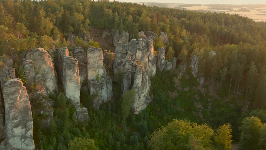 Shutterstock Video