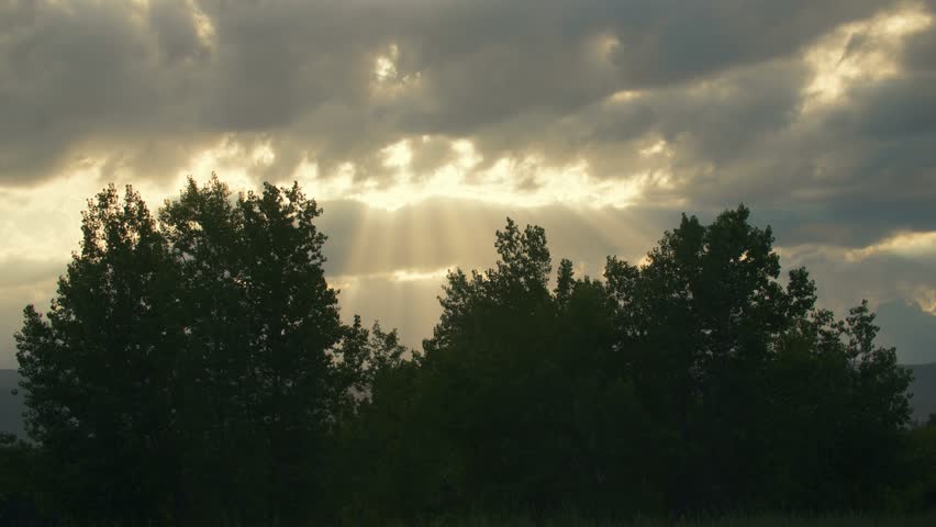 The sun streaming through the clouds above the tree line in Walden Ponds near Boulder, Colorado, USA. Locked tele lens shot